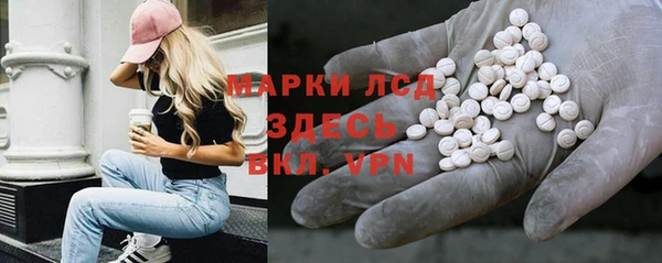 spice Аркадак