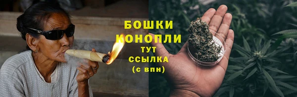 spice Аркадак