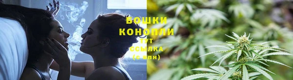 spice Аркадак