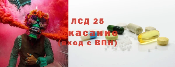 spice Аркадак