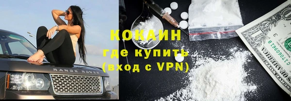spice Аркадак