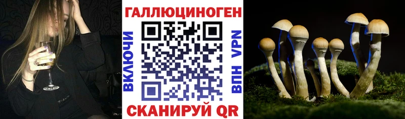 Псилоцибиновые грибы Psilocybine cubensis  Ипатово 