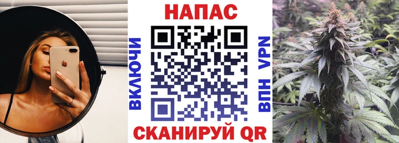 Бошки Шишки MAZAR  Ипатово 